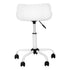 MN-247463    Office Chair - Juvenile Low Back - Adjustable Height - White