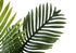 MN-249503    Artificial Plant, 24" Tall, Palm, Indoor, Faux, Fake, Table, Floor, Greenery, Potted, Real Touch, Decorative, Green Leaves, Beige Woven Basket