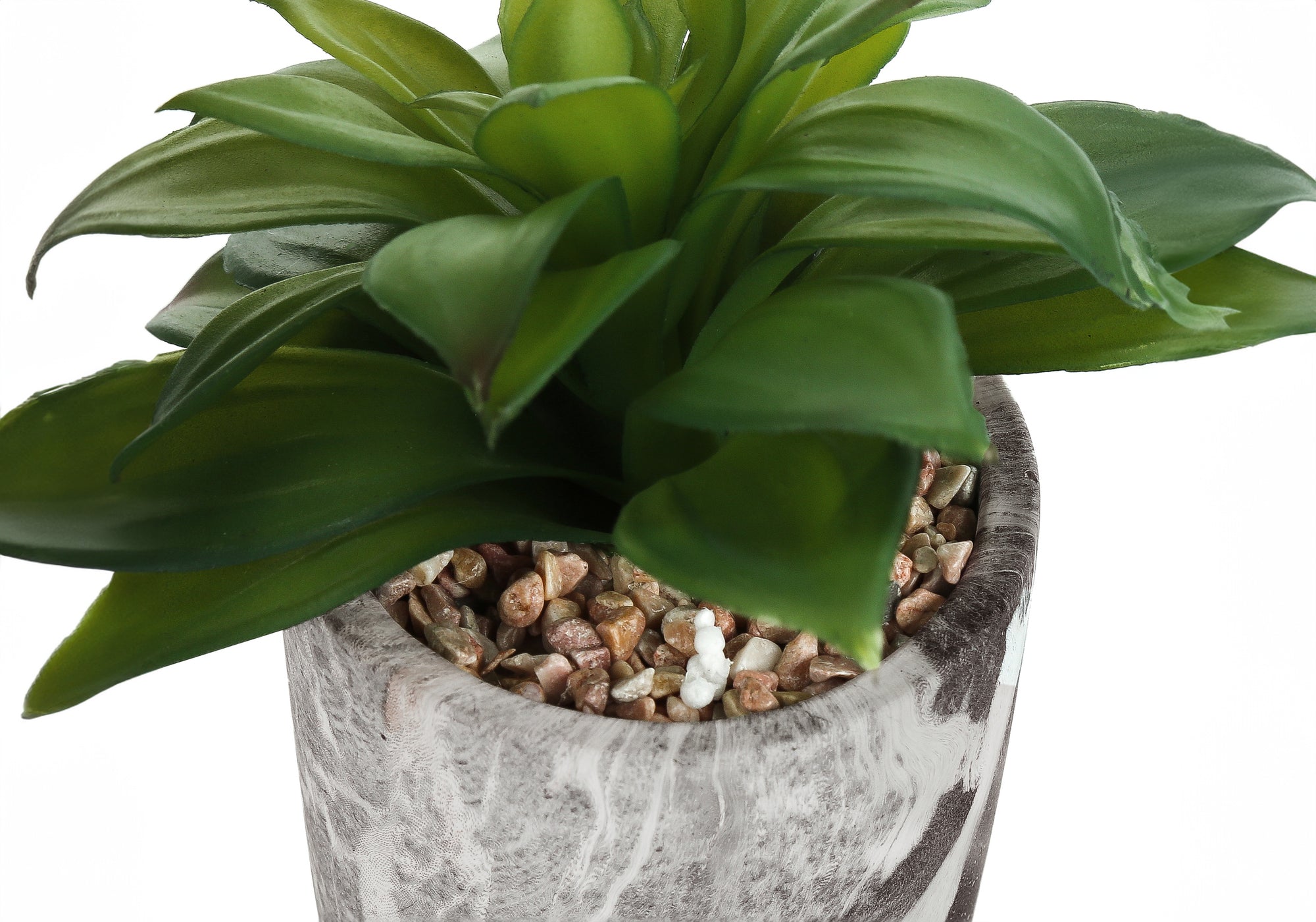MN-769586    Artificial Plant, 6" Tall, Succulent, Indoor, Faux, Fake, Table, Greenery, Potted, Set Of 2, Decorative, Green Leaves, Grey Cement Pots
