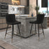 XANDER-26'' COUNTER STOOL-BLACK 2 Pcs