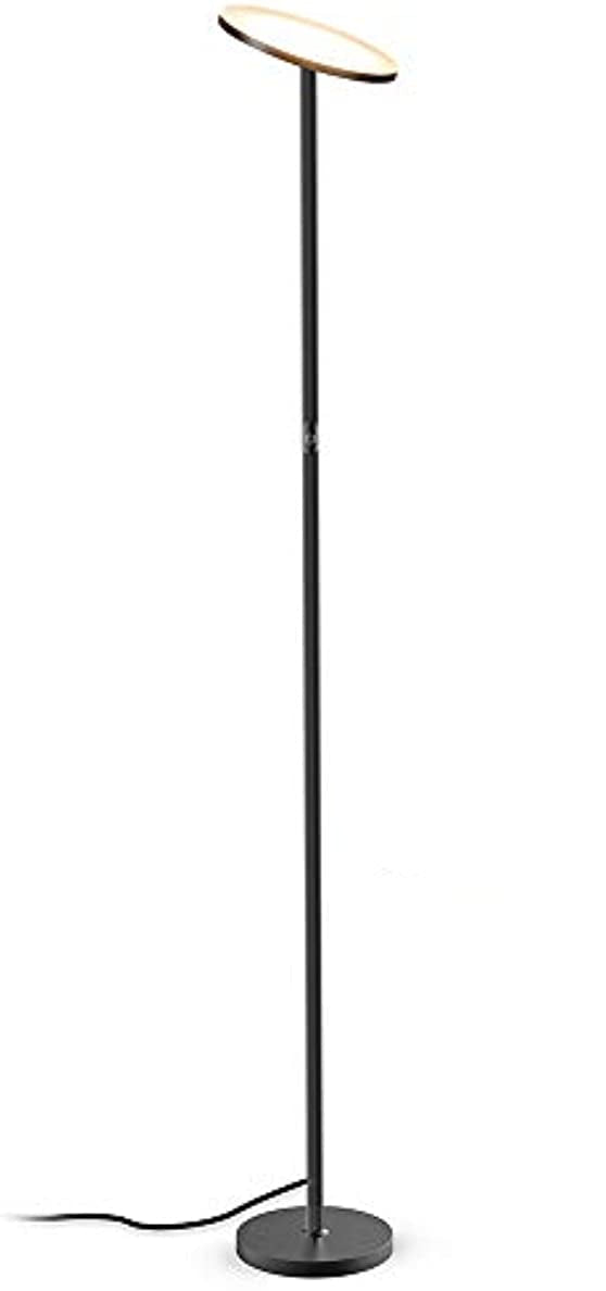 LED Floor Standing Lamp - JL LED Floor Lamp 1001