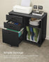 Storage Cabinet -Lateral File Cabinet for Home Office, for A4, Letter Sized Documents, Printer Stand, Black