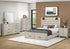 MN-285212Q    Bedroom Set, Queen Size Bed, Bleached Oak, Contemporary, Modern