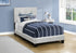 MN-Q545801T    Bed, Twin Size, Upholstered, Frame Only, Bedroom, Juvenile, Youth, Light Grey Boucle, Transitional