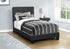 MN-Q545805T    Bed, Twin Size, Upholstered, Bedroom, Frame Only, Youth, Teen, Juvenile, Black Boucle, Transitional