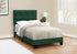 MN-Q545917T    Bed, Twin Size, Upholstered, Bedroom, Frame Only, Youth, Teen, Juvenile, Green Velvet, Transitional