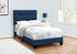 MN-Q545918T    Bed, Twin Size, Upholstered, Bedroom, Frame Only, Youth, Teen, Juvenile, Blue Velvet, Transitional