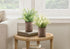 MN-Q909360    Artificial Plant, Set Of 2, 12" Tall, Mullberry Grass, Table, Brown Cement Pots, Contemporary, Modern