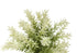 MN-Q909360    Artificial Plant, Set Of 2, 12" Tall, Mullberry Grass, Table, Brown Cement Pots, Contemporary, Modern