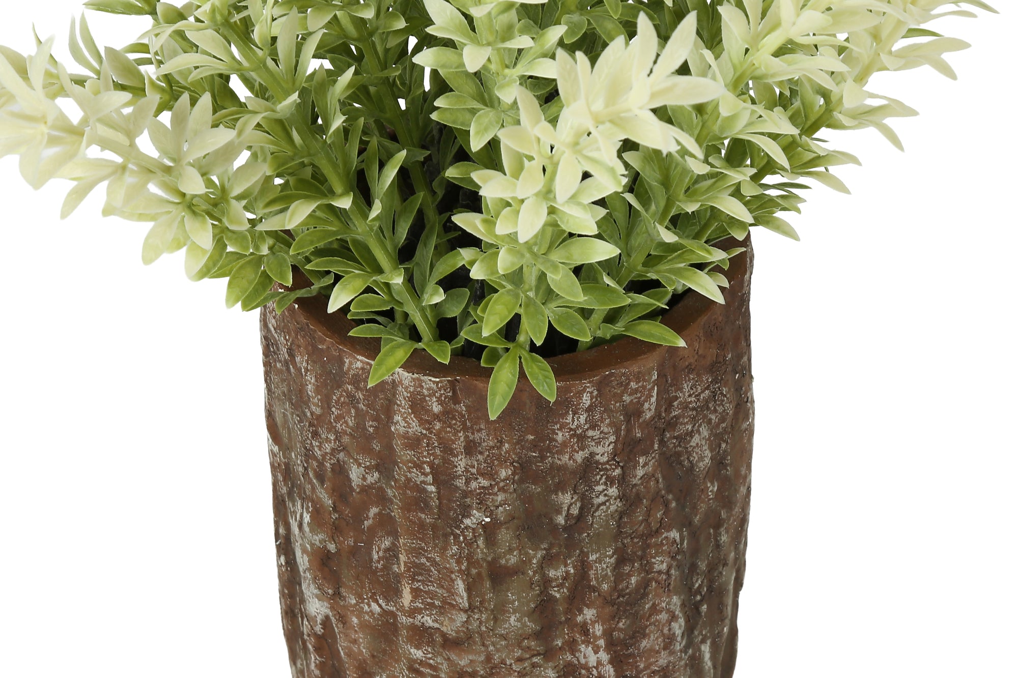 MN-Q909360    Artificial Plant, Set Of 2, 12" Tall, Mullberry Grass, Table, Brown Cement Pots, Contemporary, Modern