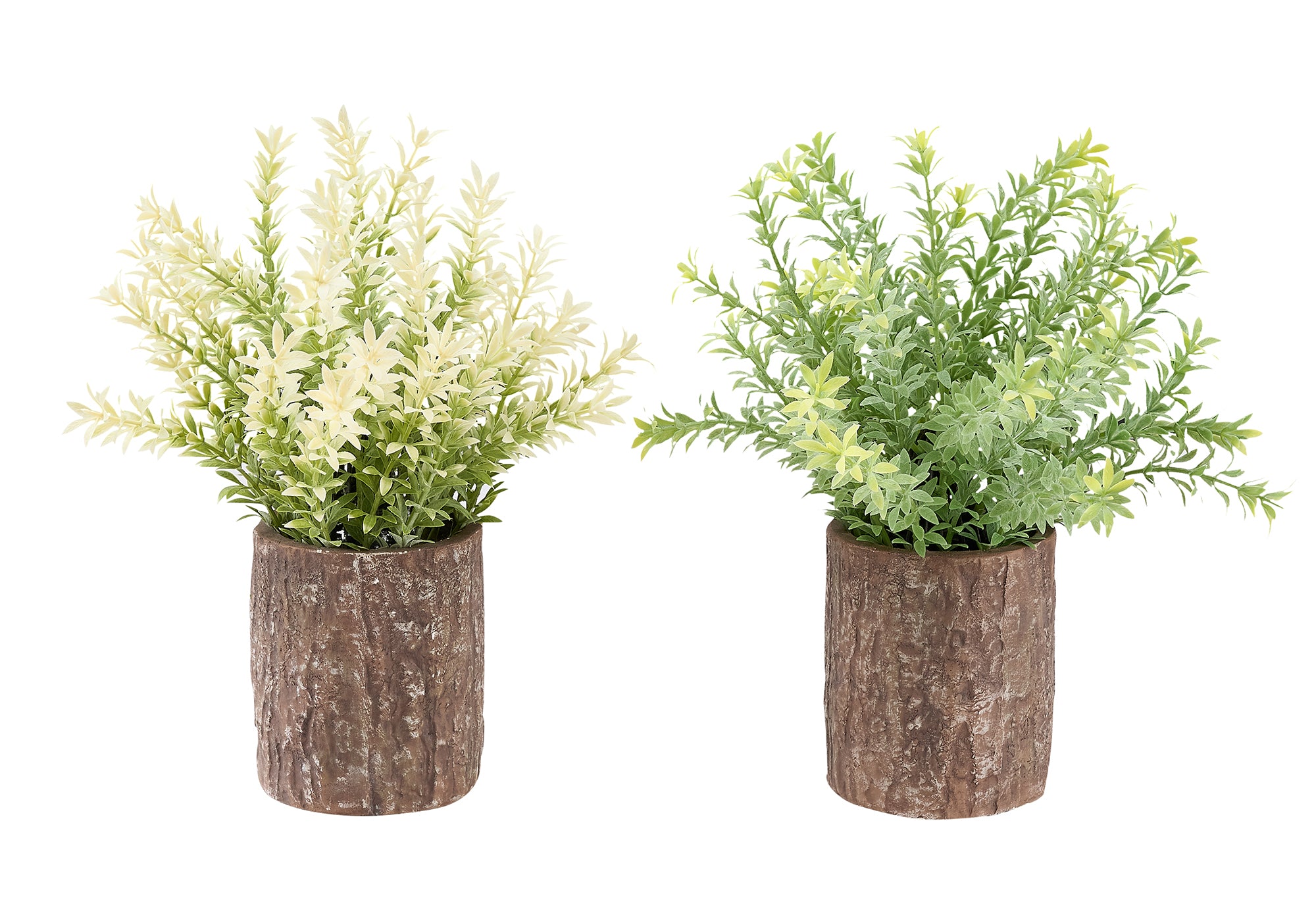 MN-Q909360    Artificial Plant, Set Of 2, 12" Tall, Mullberry Grass, Table, Brown Cement Pots, Contemporary, Modern
