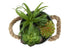 MN-P919361    Artificial Plant, Set Of 2, 7" Tall, Succulent, Table, White Metal Pots, Contemporary, Modern