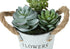 MN-P919361    Artificial Plant, Set Of 2, 7" Tall, Succulent, Table, White Metal Pots, Contemporary, Modern