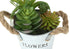MN-P919361    Artificial Plant, Set Of 2, 7" Tall, Succulent, Table, White Metal Pots, Contemporary, Modern