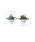 MN-P919361    Artificial Plant, Set Of 2, 7" Tall, Succulent, Table, White Metal Pots, Contemporary, Modern