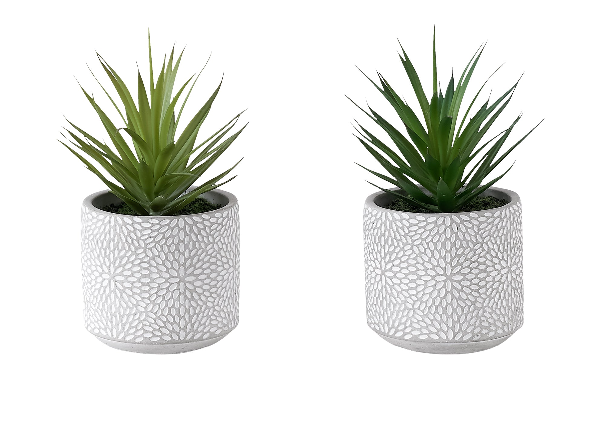 MN-O929362    Artificial Plant, Set Of 2, 9" Tall, Succulent, White Cement Pots, Contemporary, Modern