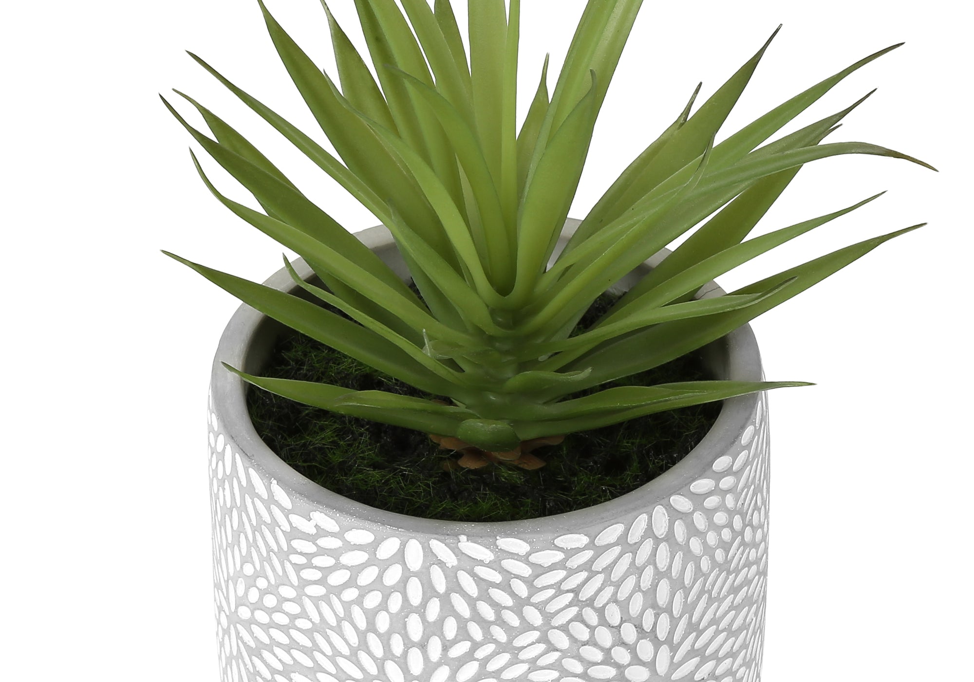 MN-O929362    Artificial Plant, Set Of 2, 9" Tall, Succulent, White Cement Pots, Contemporary, Modern