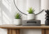 MN-O929362    Artificial Plant, Set Of 2, 9" Tall, Succulent, White Cement Pots, Contemporary, Modern