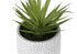 MN-O929362    Artificial Plant, Set Of 2, 9" Tall, Succulent, White Cement Pots, Contemporary, Modern