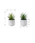 MN-O929362    Artificial Plant, Set Of 2, 9" Tall, Succulent, White Cement Pots, Contemporary, Modern