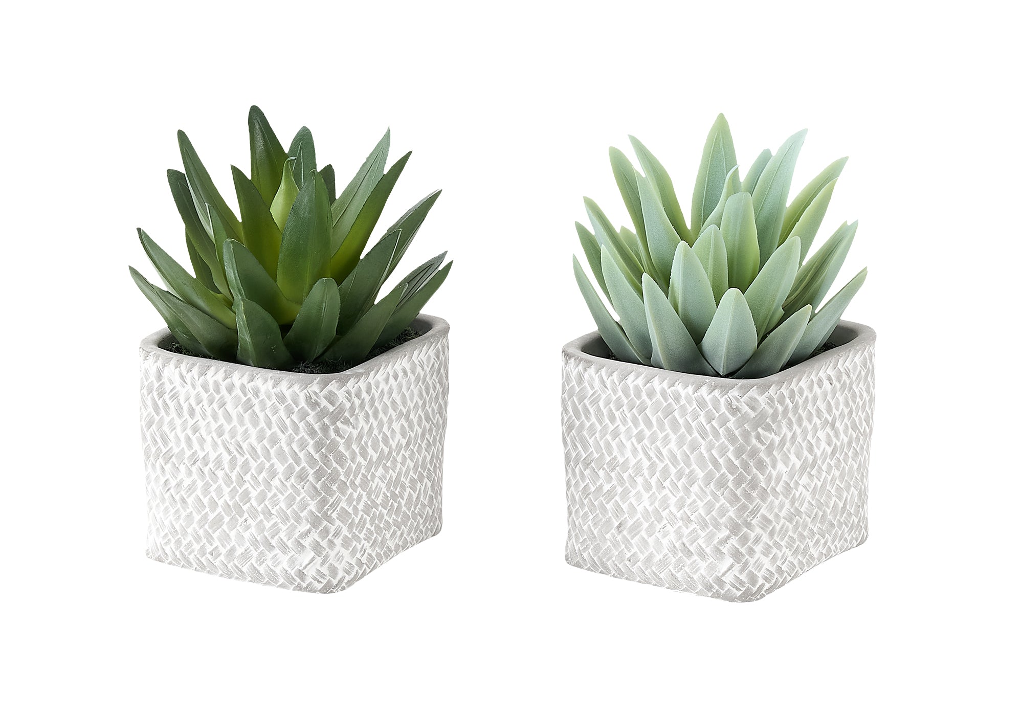 MN-939363    Artificial Plant, Set Of 2, 8" Tall, Succulent, Table, Grey Cement Pots, Contemporary, Modern