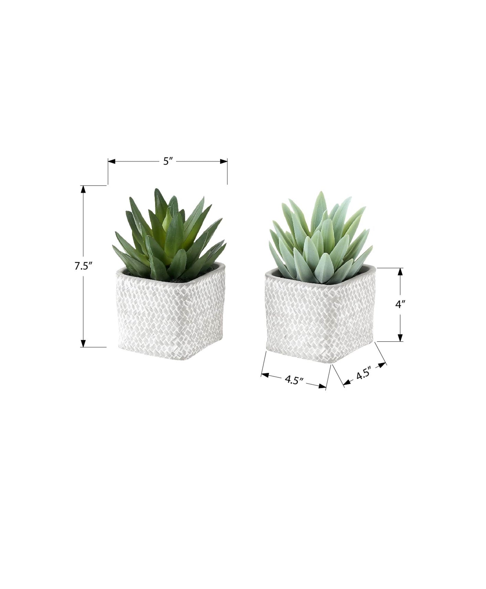 MN-939363    Artificial Plant, Set Of 2, 8" Tall, Succulent, Table, Grey Cement Pots, Contemporary, Modern