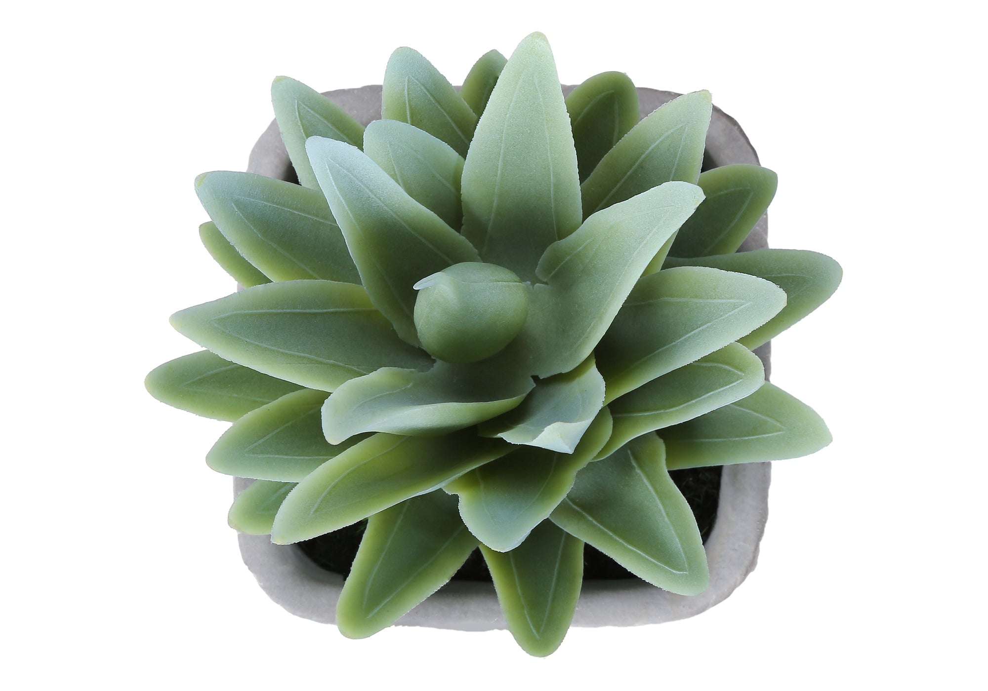 MN-939363    Artificial Plant, Set Of 2, 8" Tall, Succulent, Table, Grey Cement Pots, Contemporary, Modern