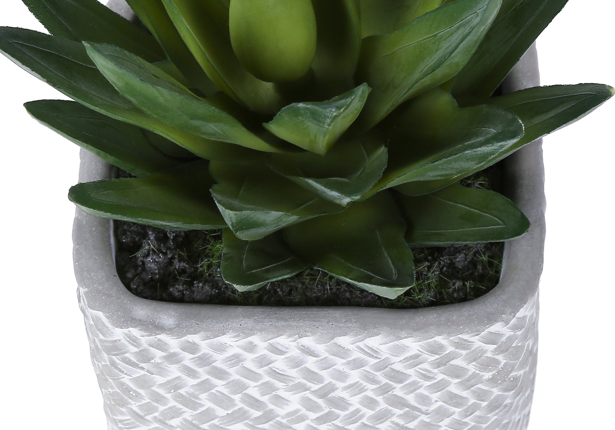 MN-939363    Artificial Plant, Set Of 2, 8" Tall, Succulent, Table, Grey Cement Pots, Contemporary, Modern