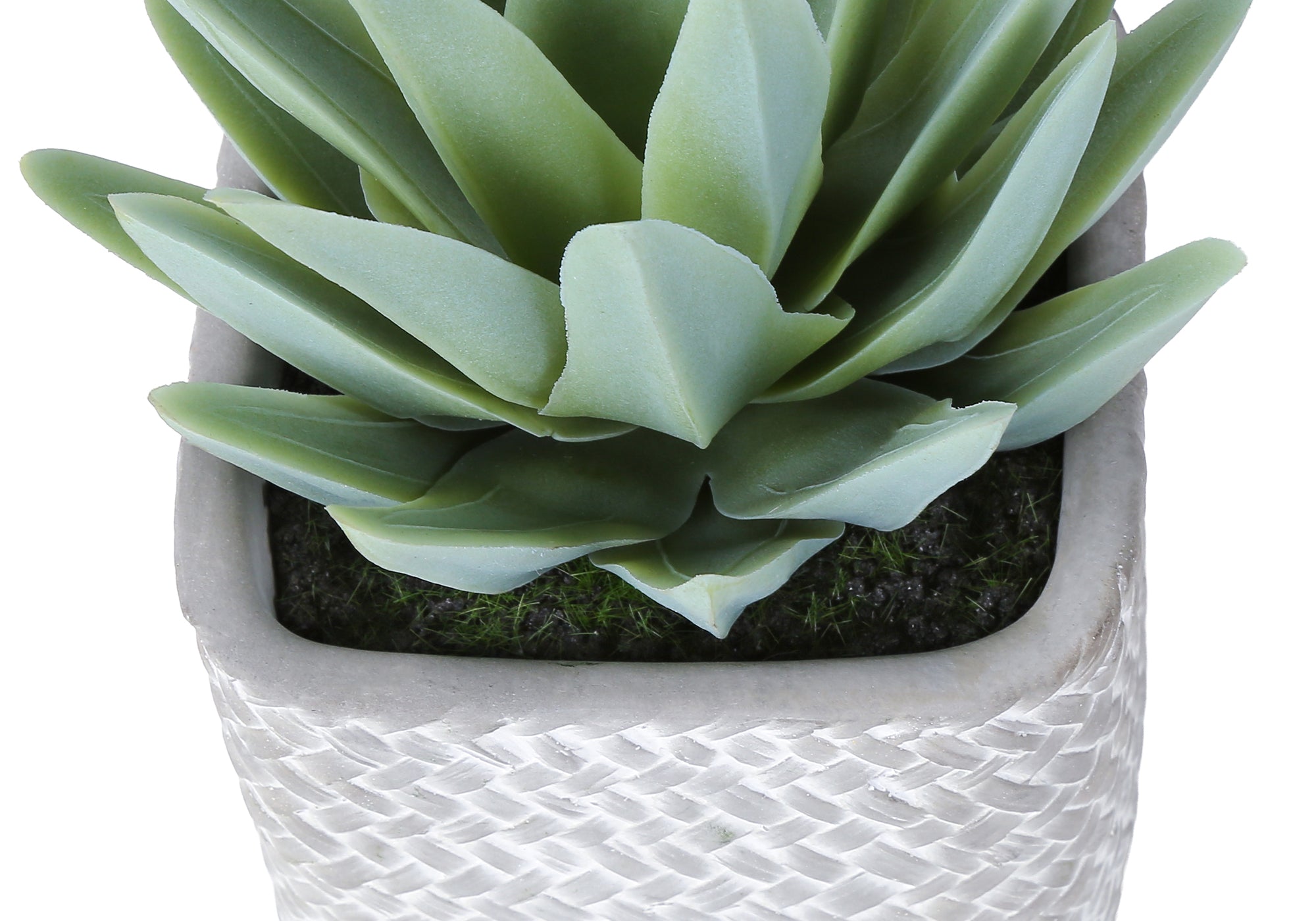 MN-939363    Artificial Plant, Set Of 2, 8" Tall, Succulent, Table, Grey Cement Pots, Contemporary, Modern