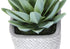MN-939363    Artificial Plant, Set Of 2, 8" Tall, Succulent, Table, Grey Cement Pots, Contemporary, Modern