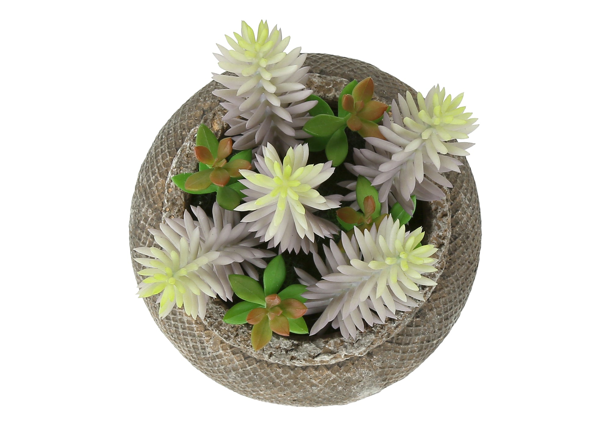 MN-M949364    Artificial Plant, Set Of 2, 8" Tall, Succulent, Table, Brown Cement Pots, Contemporary, Modern