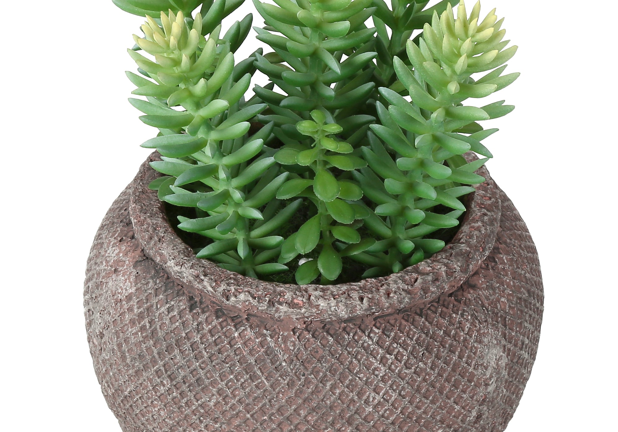 MN-M949364    Artificial Plant, Set Of 2, 8" Tall, Succulent, Table, Brown Cement Pots, Contemporary, Modern