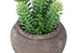 MN-M949364    Artificial Plant, Set Of 2, 8" Tall, Succulent, Table, Brown Cement Pots, Contemporary, Modern