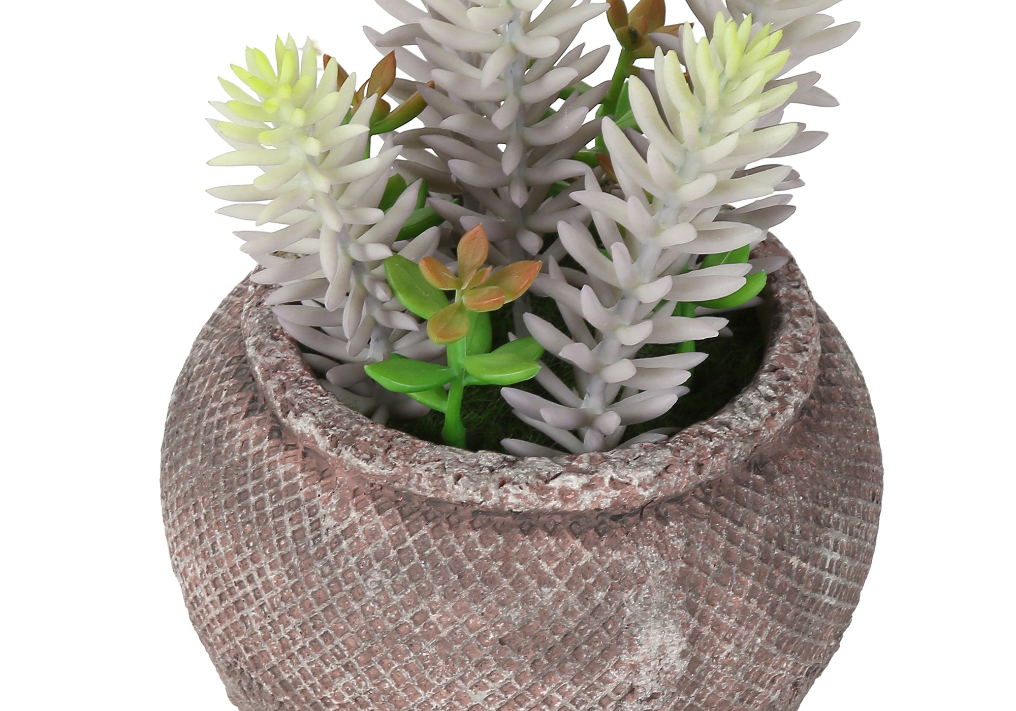 MN-M949364    Artificial Plant, Set Of 2, 8" Tall, Succulent, Table, Brown Cement Pots, Contemporary, Modern