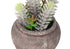 MN-M949364    Artificial Plant, Set Of 2, 8" Tall, Succulent, Table, Brown Cement Pots, Contemporary, Modern