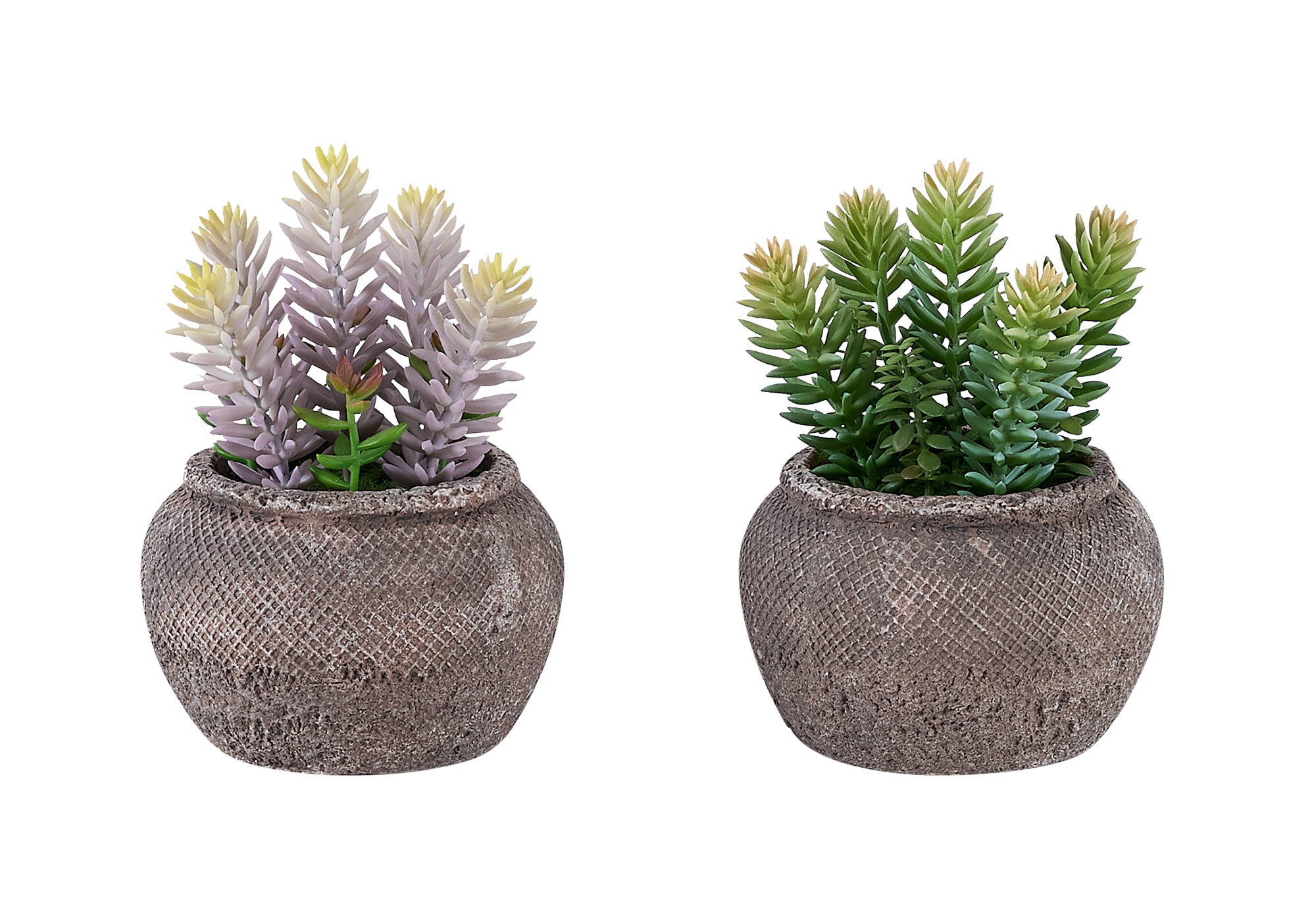 MN-M949364    Artificial Plant, Set Of 2, 8" Tall, Succulent, Table, Brown Cement Pots, Contemporary, Modern