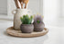 MN-M949364    Artificial Plant, Set Of 2, 8" Tall, Succulent, Table, Brown Cement Pots, Contemporary, Modern