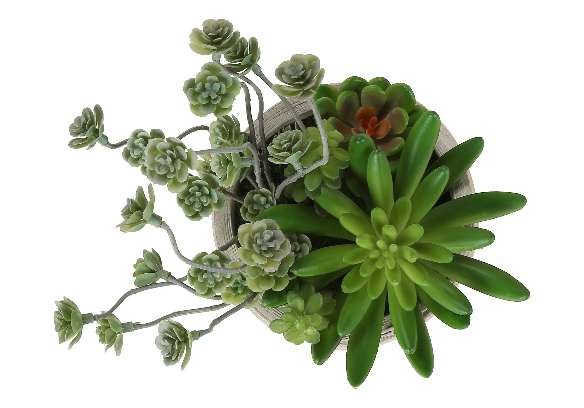 MN-K959365    Artificial Plant, Set Of 2, 9" Tall, Succulent, Table, Beige Cement Pots, Contemporary, Modern