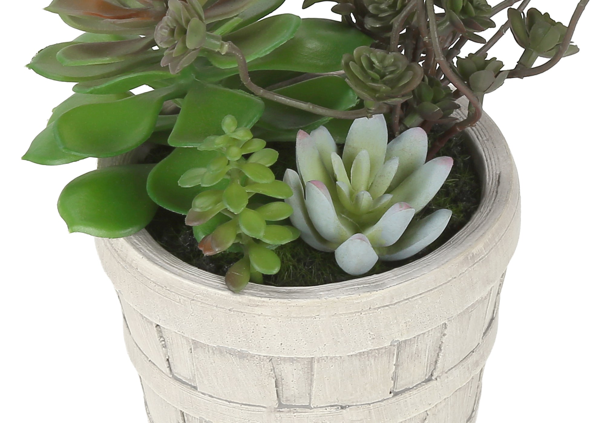 MN-K959365    Artificial Plant, Set Of 2, 9" Tall, Succulent, Table, Beige Cement Pots, Contemporary, Modern