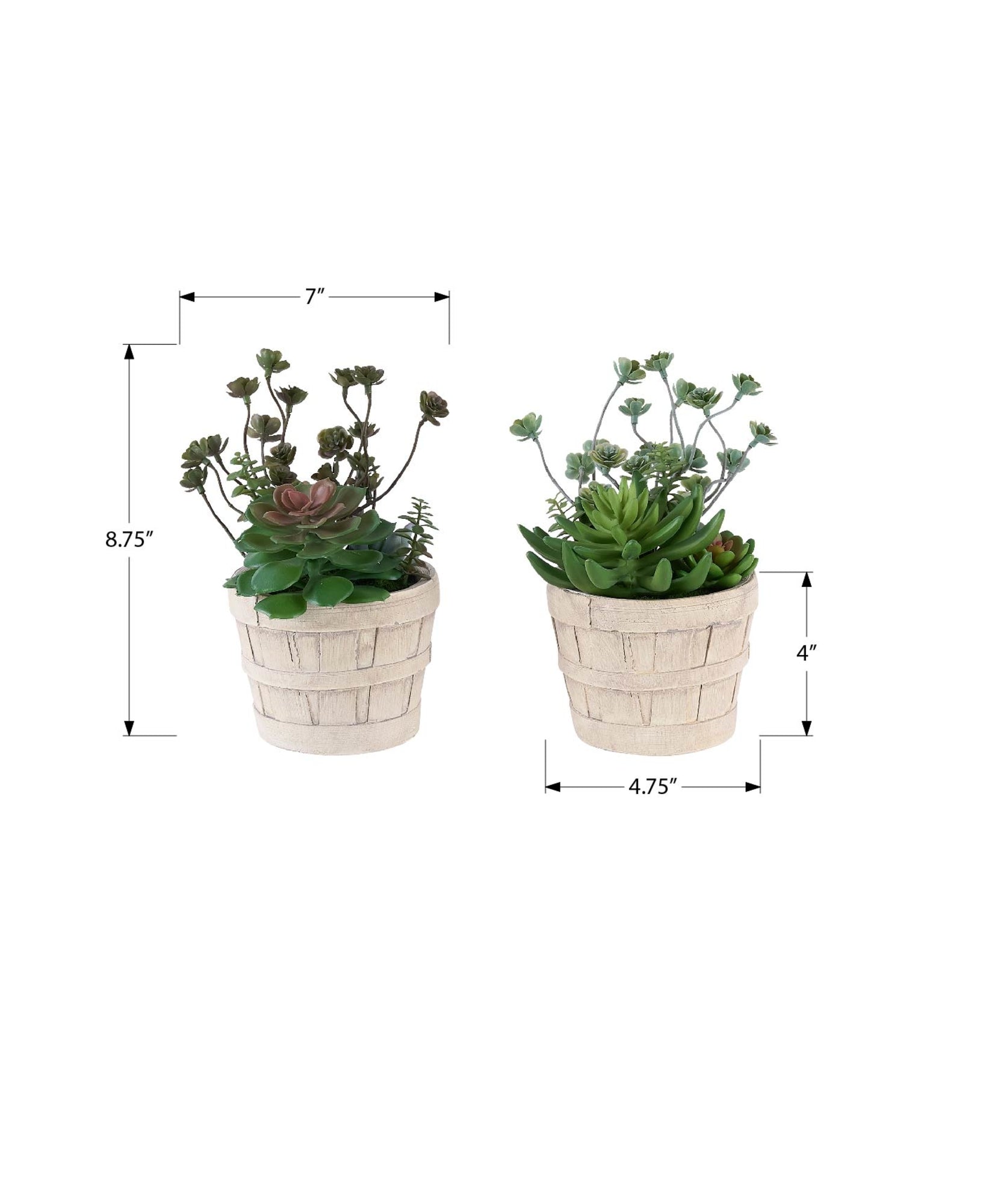 MN-K959365    Artificial Plant, Set Of 2, 9" Tall, Succulent, Table, Beige Cement Pots, Contemporary, Modern