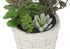 MN-K959365    Artificial Plant, Set Of 2, 9" Tall, Succulent, Table, Beige Cement Pots, Contemporary, Modern