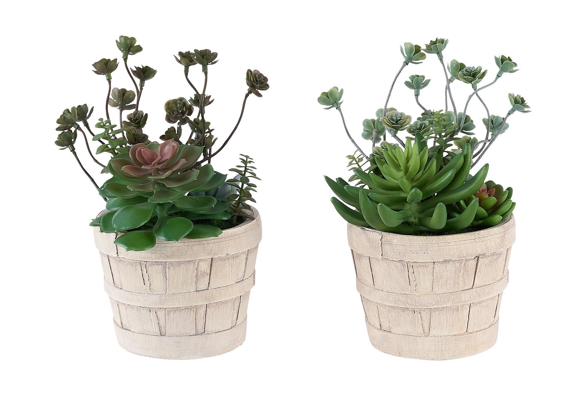 MN-K959365    Artificial Plant, Set Of 2, 9" Tall, Succulent, Table, Beige Cement Pots, Contemporary, Modern