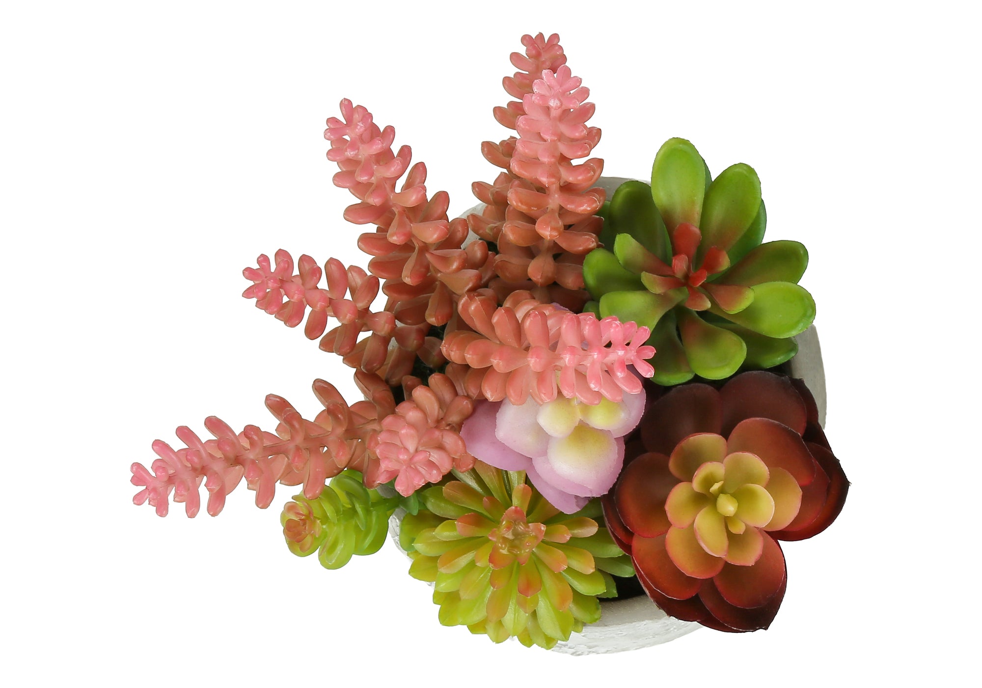 MN-J969366    Artificial Plant, Set Of 2, 9" Tall, Succulent, Table, Grey Cement Pots, Contemporary, Modern