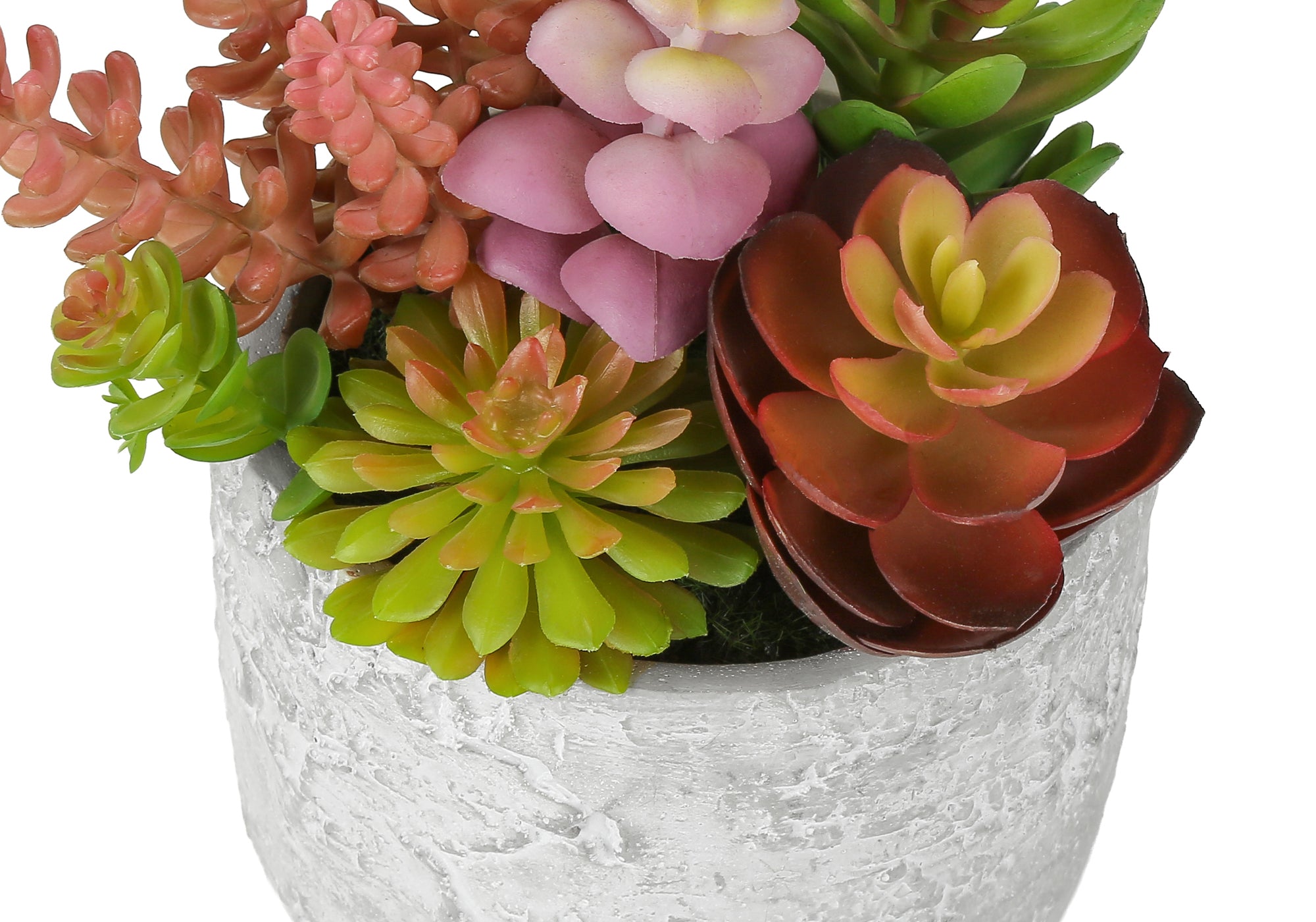 MN-J969366    Artificial Plant, Set Of 2, 9" Tall, Succulent, Table, Grey Cement Pots, Contemporary, Modern