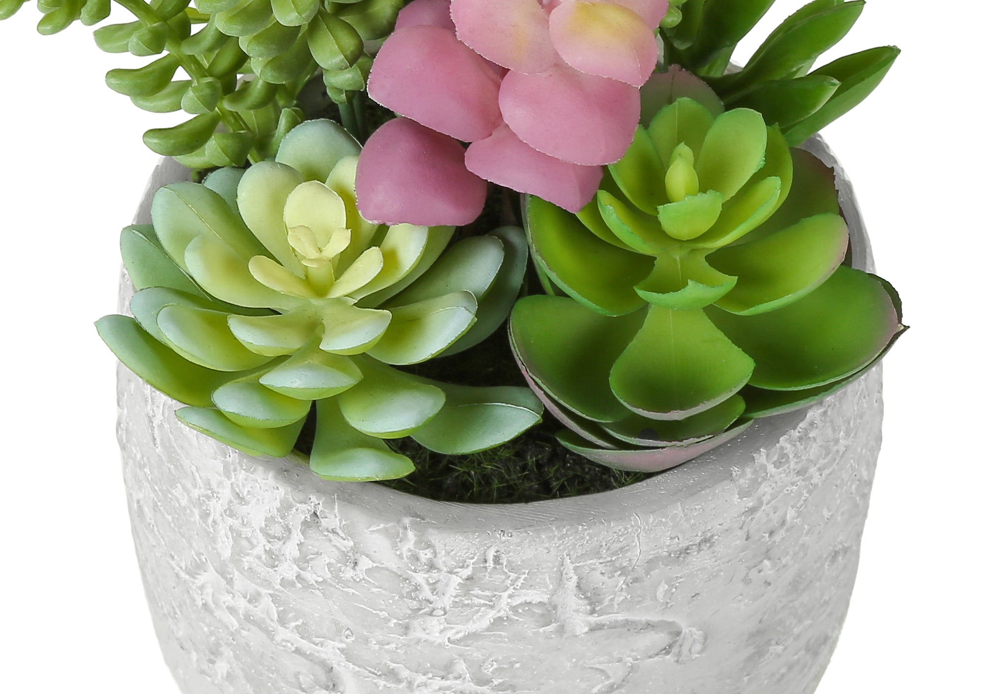 MN-J969366    Artificial Plant, Set Of 2, 9" Tall, Succulent, Table, Grey Cement Pots, Contemporary, Modern