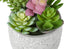 MN-J969366    Artificial Plant, Set Of 2, 9" Tall, Succulent, Table, Grey Cement Pots, Contemporary, Modern