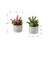 MN-J969366    Artificial Plant, Set Of 2, 9" Tall, Succulent, Table, Grey Cement Pots, Contemporary, Modern
