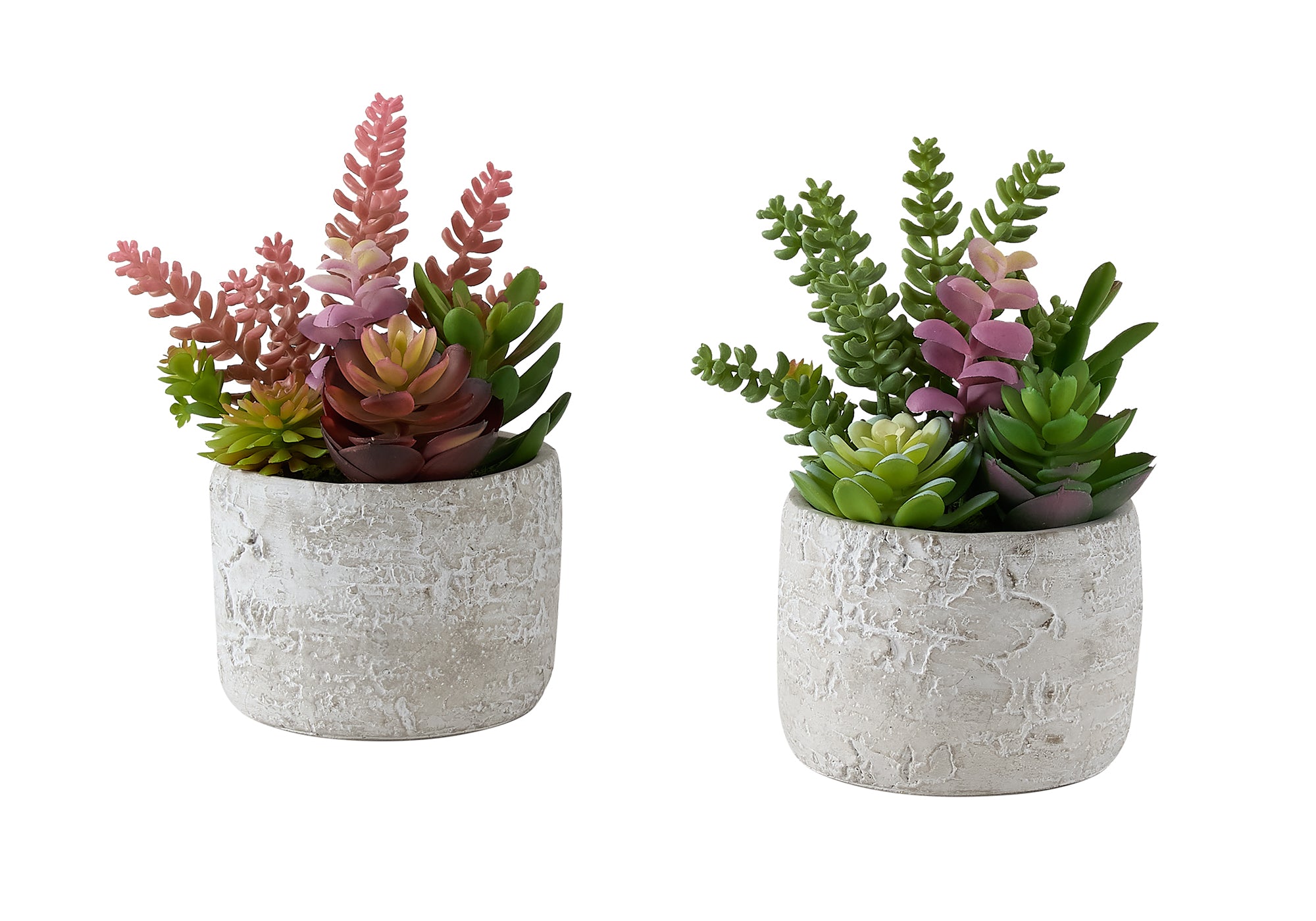 MN-J969366    Artificial Plant, Set Of 2, 9" Tall, Succulent, Table, Grey Cement Pots, Contemporary, Modern