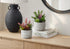 MN-J969366    Artificial Plant, Set Of 2, 9" Tall, Succulent, Table, Grey Cement Pots, Contemporary, Modern