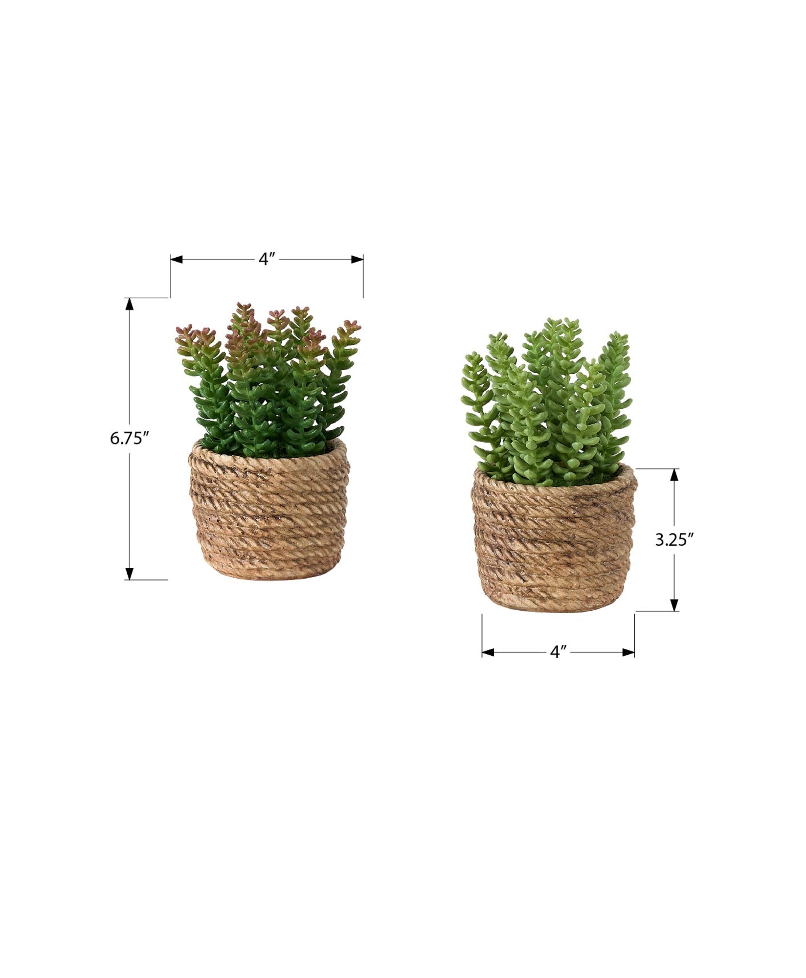 MN-979367    Artificial Plant, Set Of 2, 7" Tall, Succulent, Table, Brown Cement Pots, Contemporary, Modern